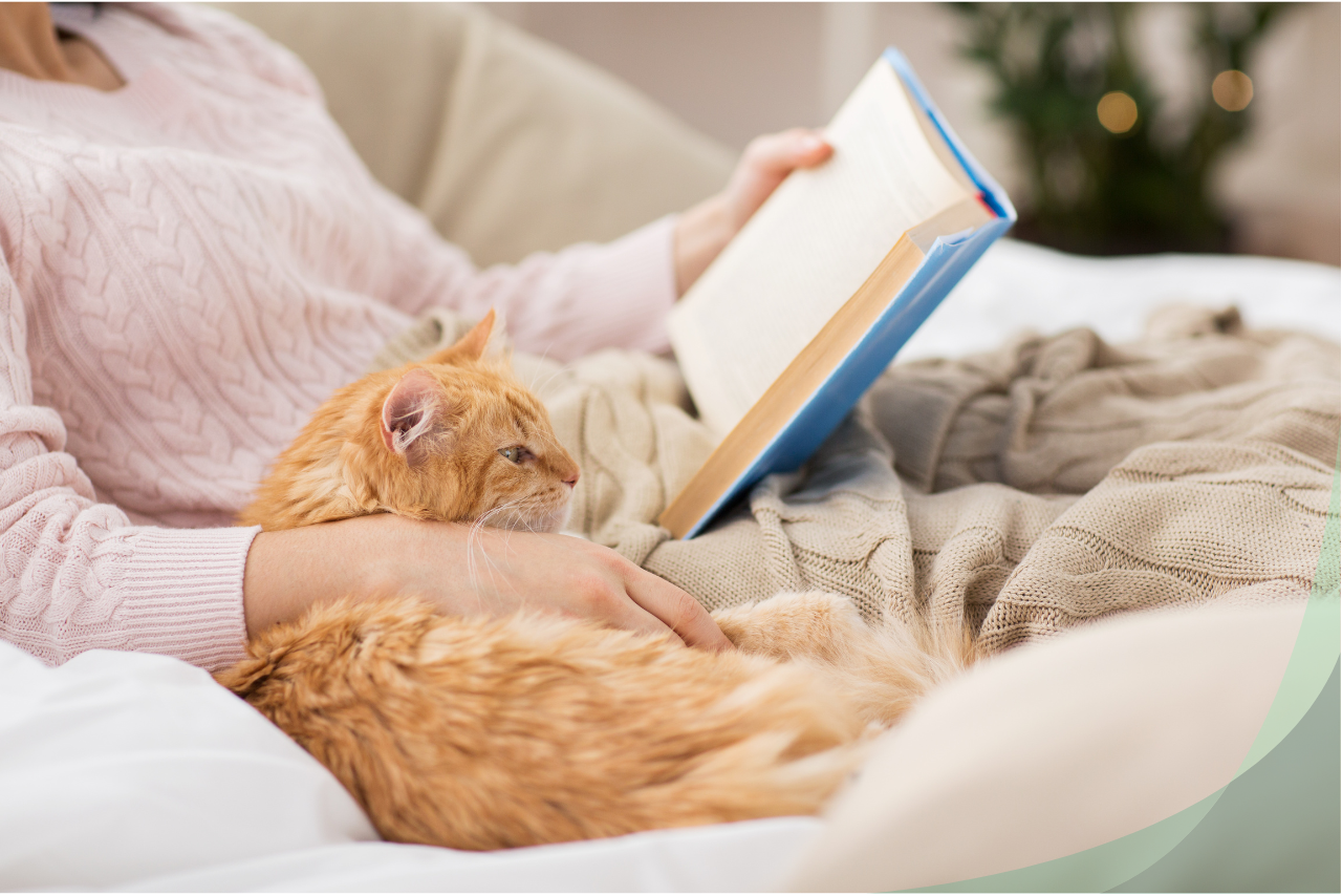 Person sitting in a chair  with an orang cat reading. 