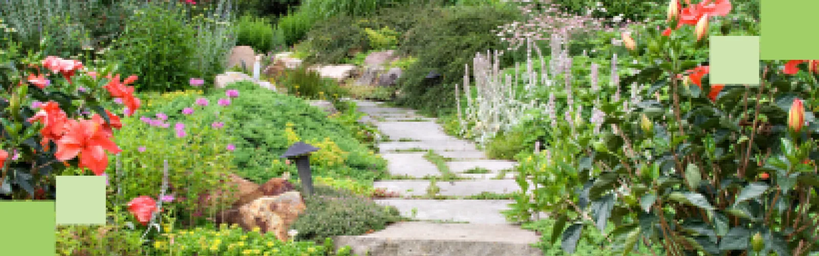 A pathway in a garden. Green blocks are on the bottom left and top right corners. 