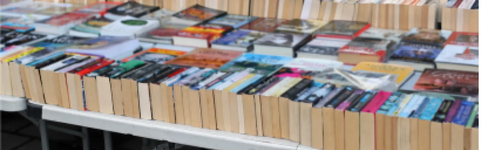 Books lined up in rows on a table for sale. 