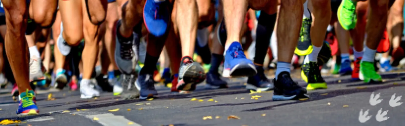 Large group of runners participating in a race. 
